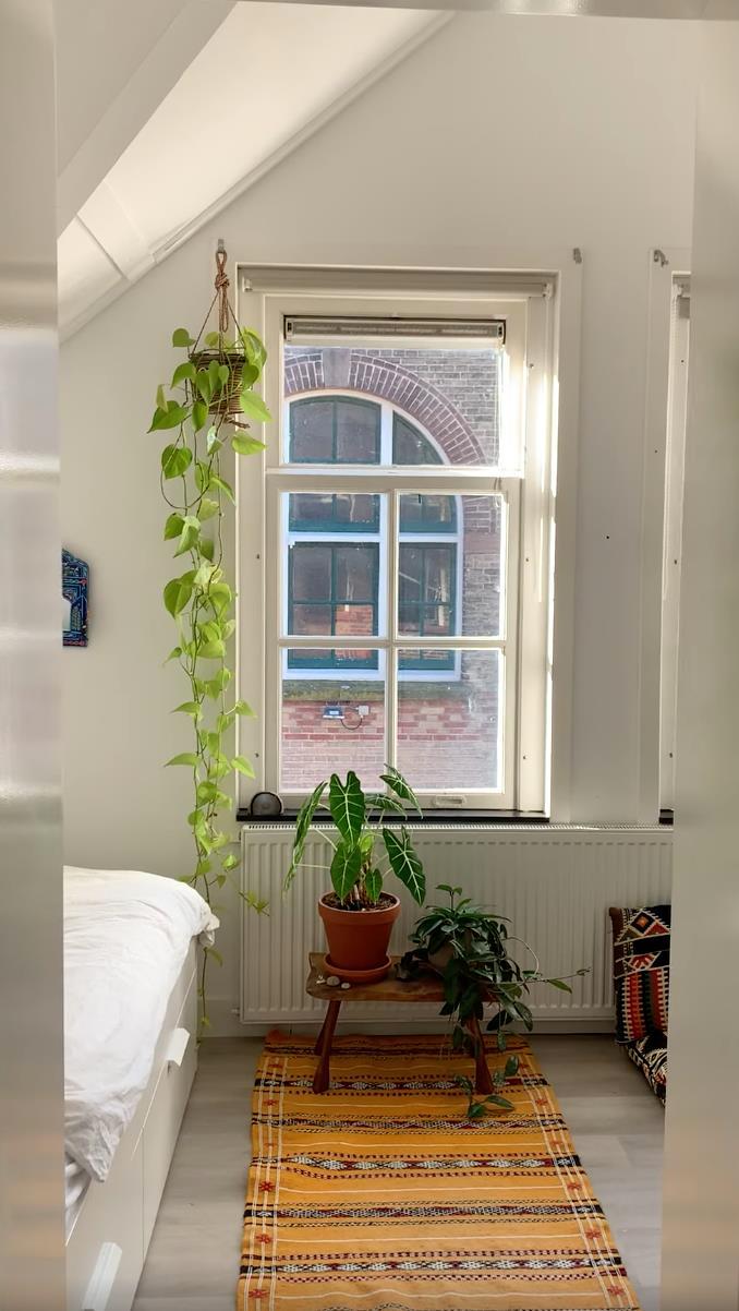 show all photos of Duinstraat