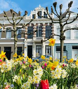 show all photos of Mauritsstraat