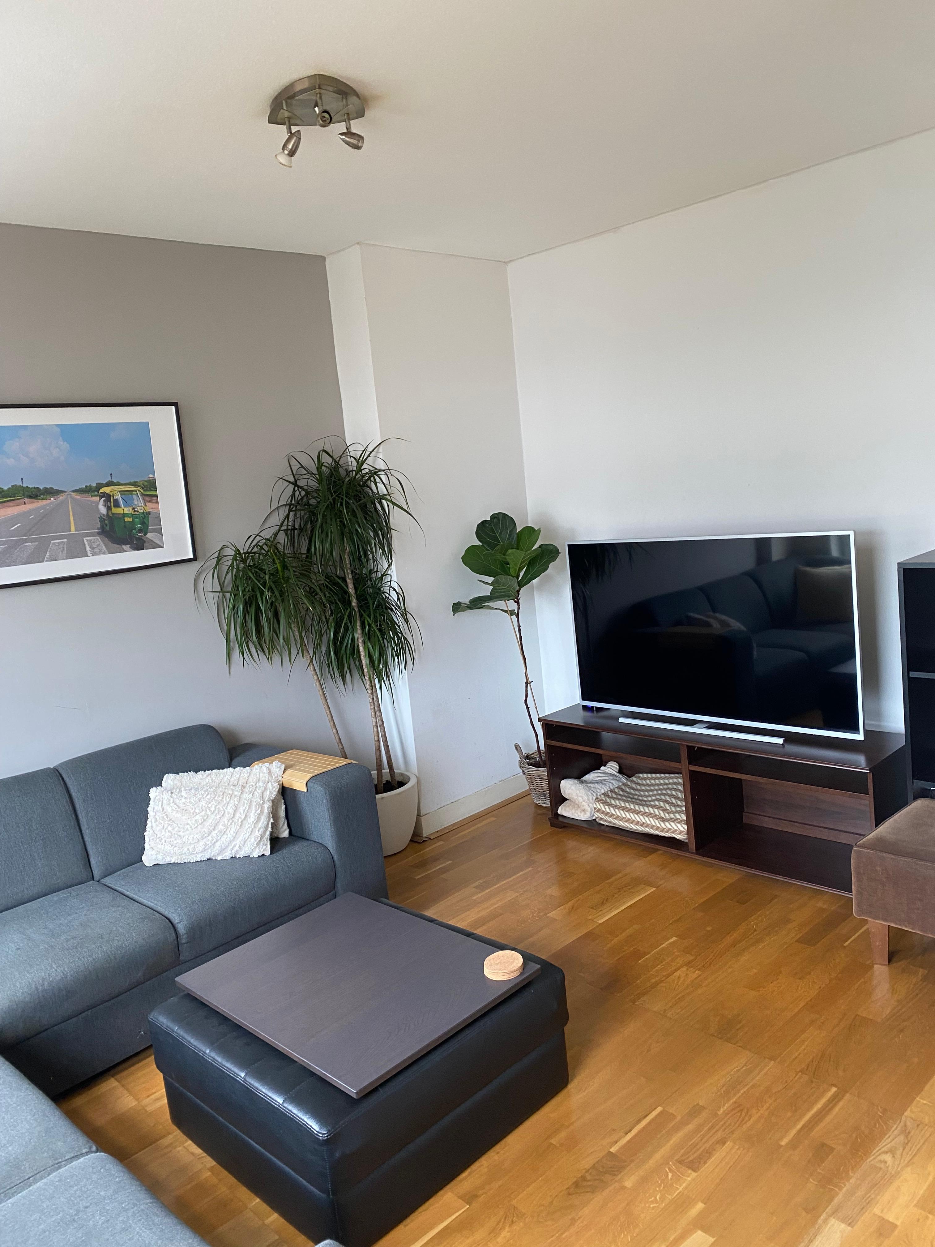 show all photos of Zwart Janstraat