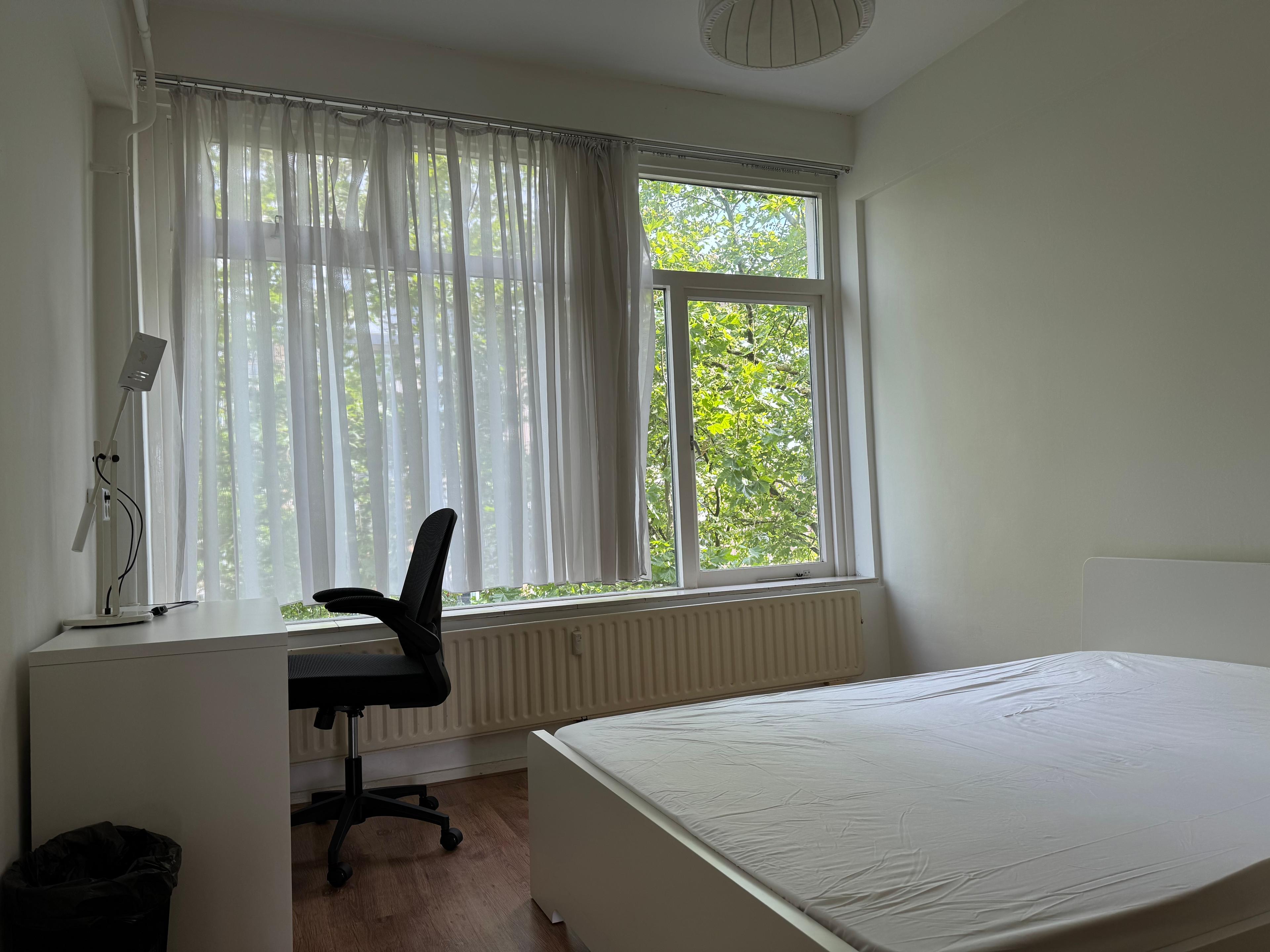 show all photos of Goudsesingel