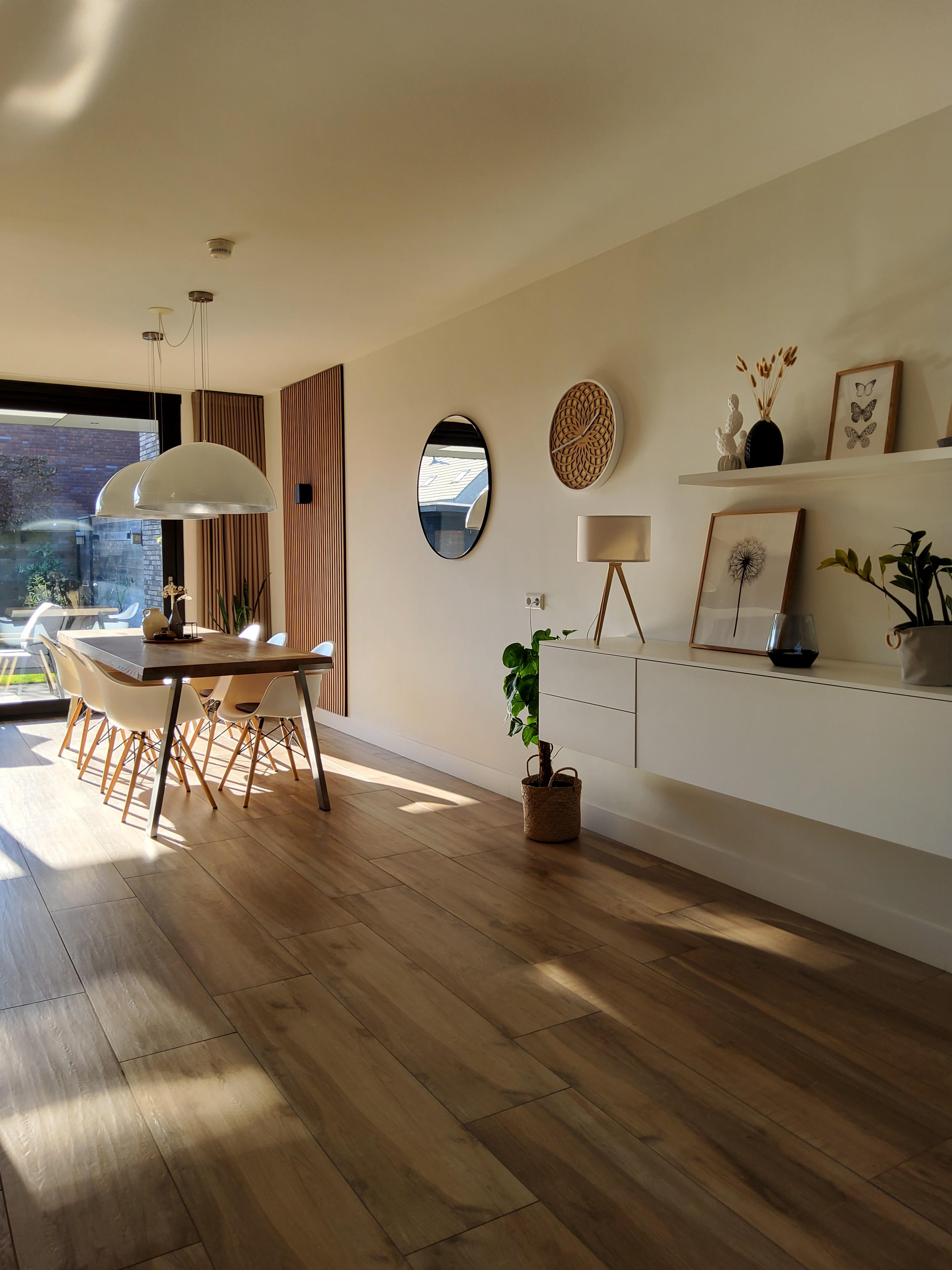 show all photos of IJsvogel