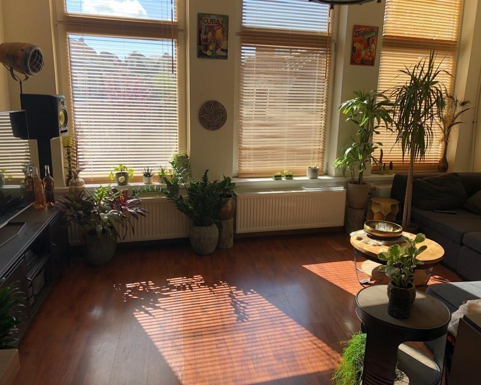 show all photos of Hansenstraat