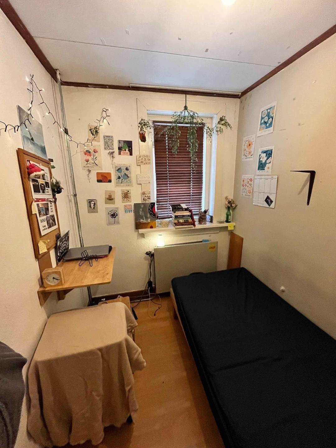 show all photos of Brinkstraat