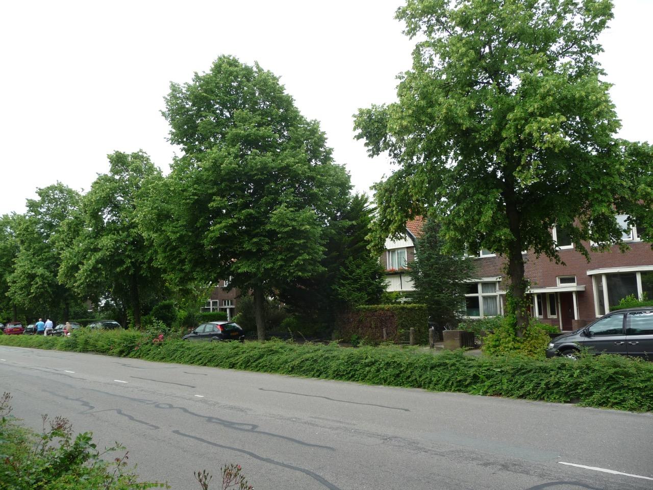 show all photos of Verlengde Schrans