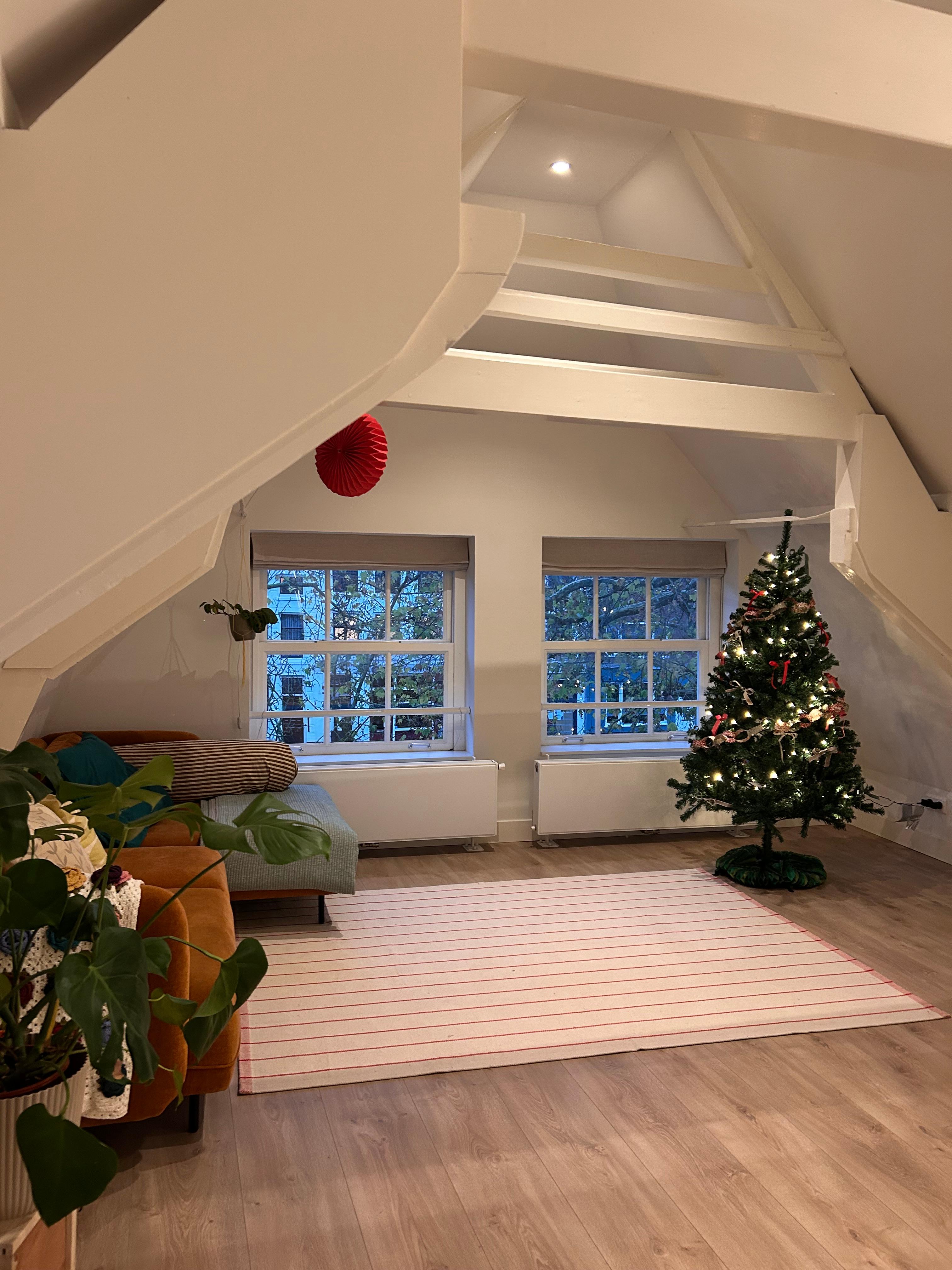 show all photos of Oudegracht