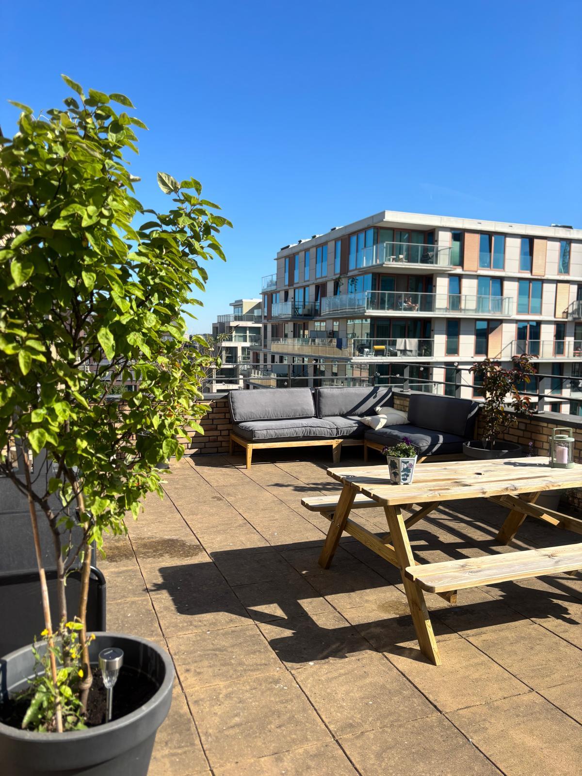 show all photos of Spadinalaan