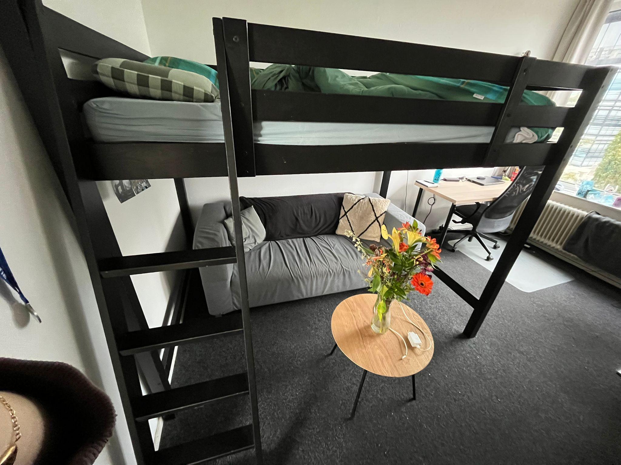 show all photos of Boerhaavelaan