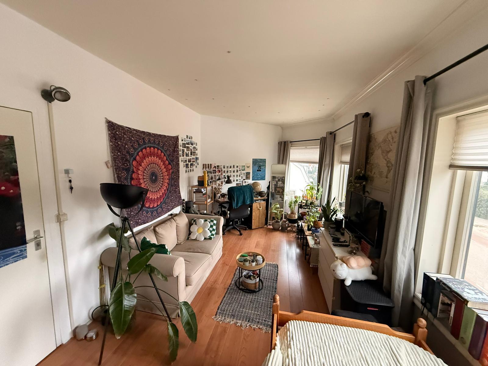 show all photos of Traaij