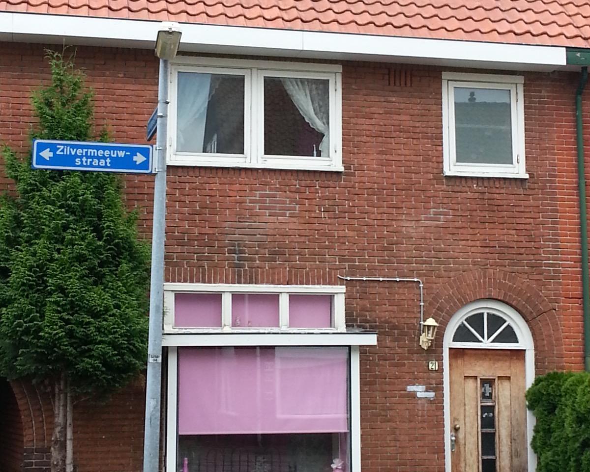 show all photos of Zilvermeeuwstraat