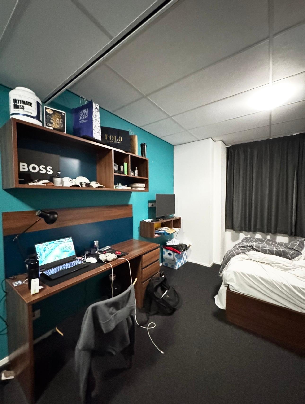 show all photos of Willem Ruyslaan