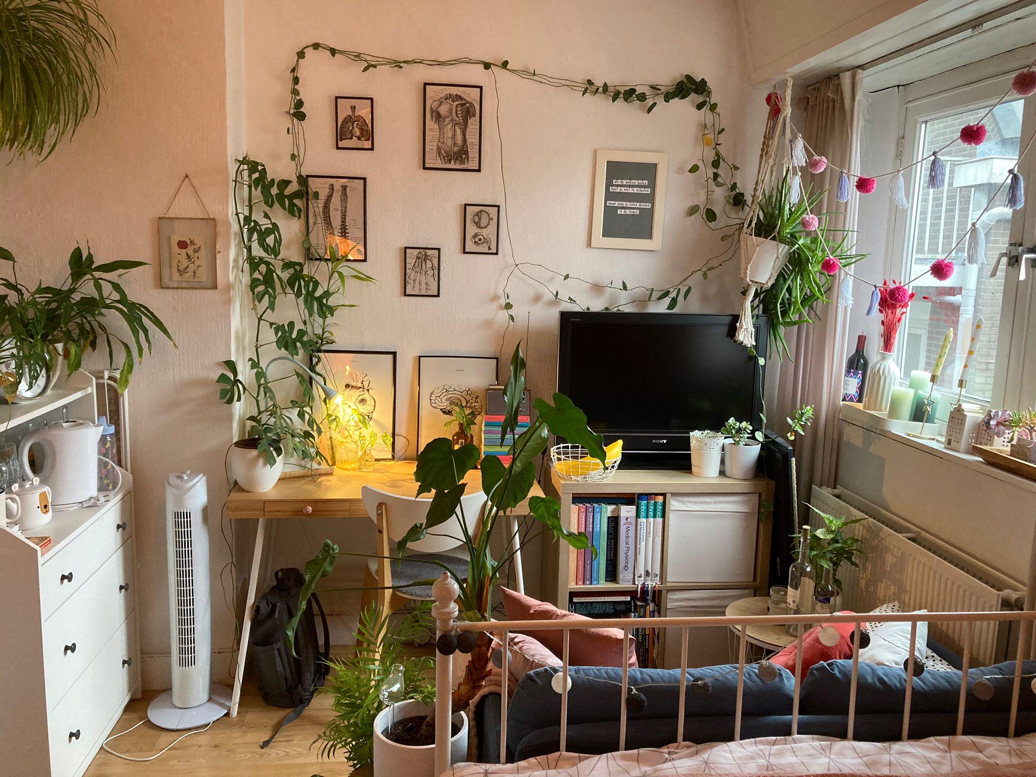 show all photos of Vaartweg