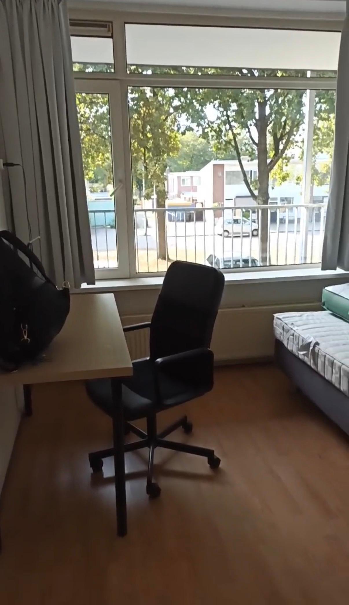 show all photos of Statenlaan