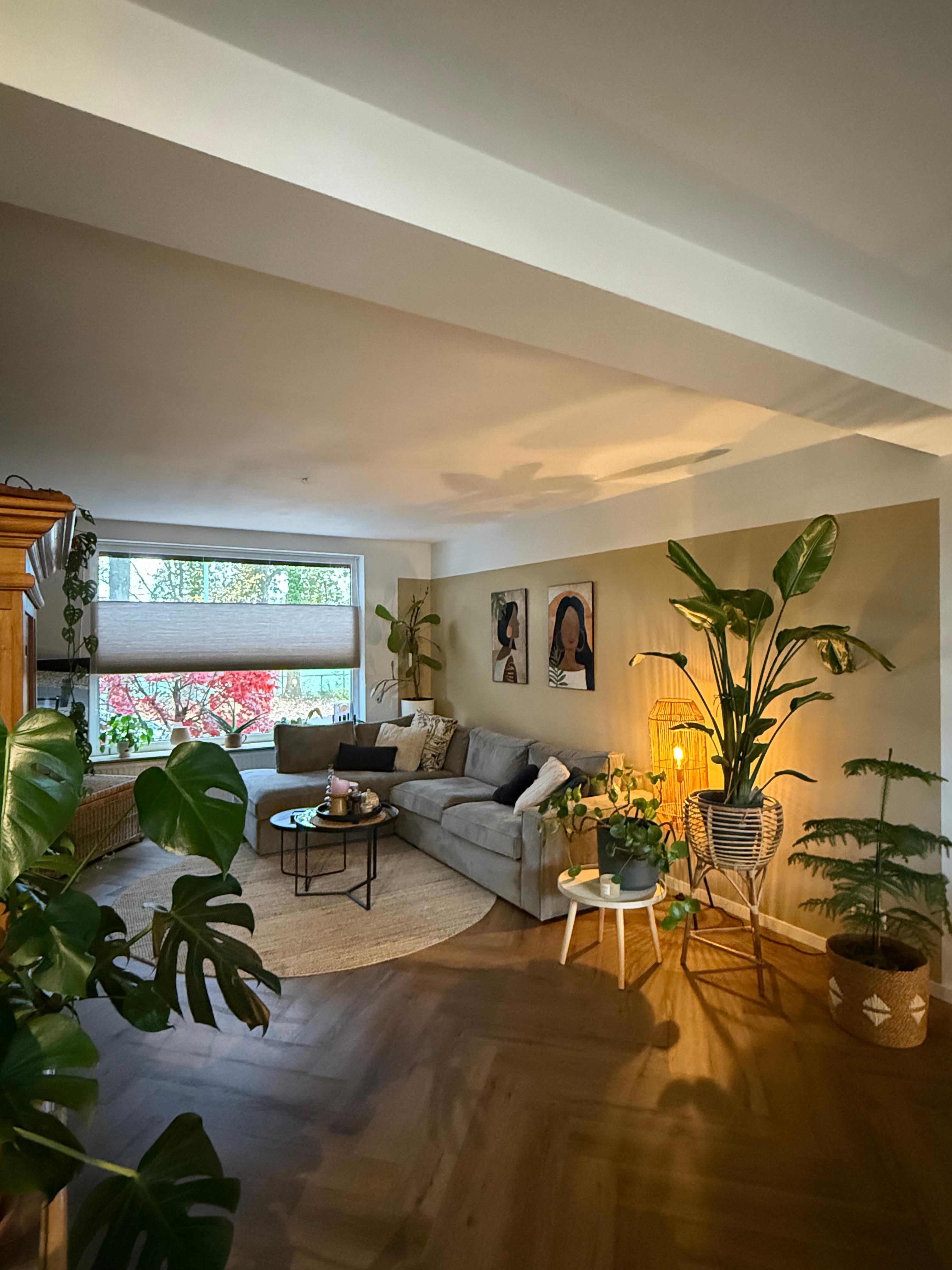 show all photos of Peerdendries