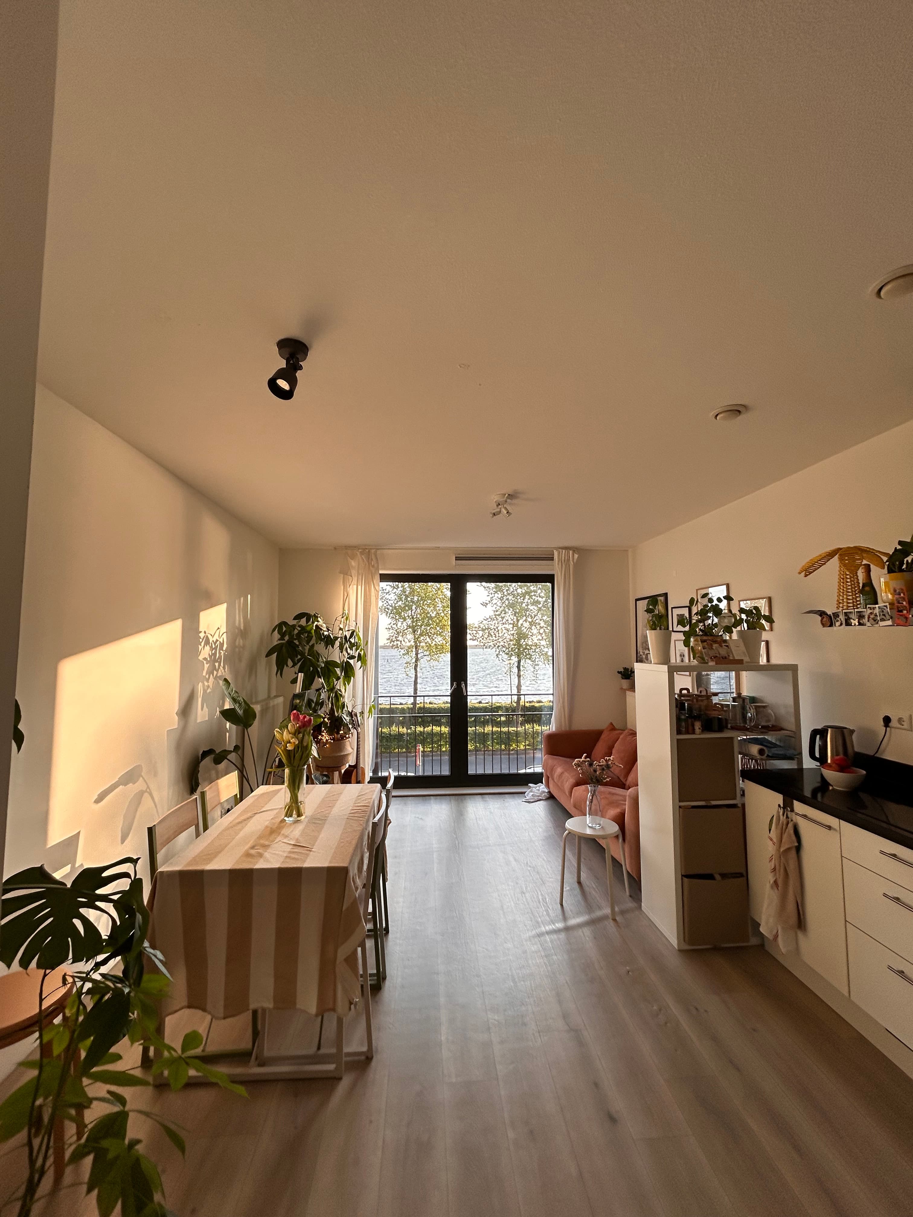 show all photos of Bert Haanstrakade