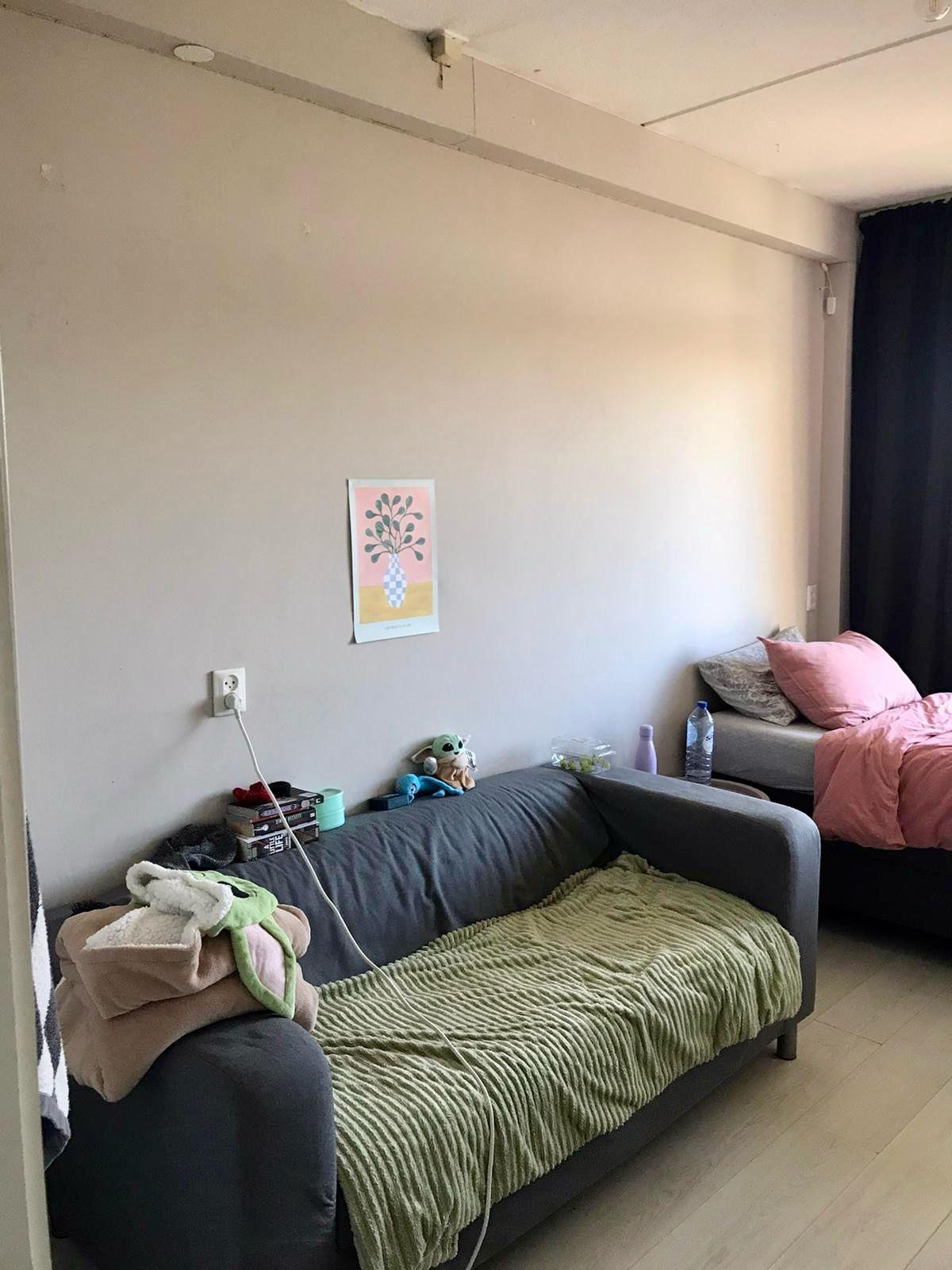 show all photos of Leimuidenplaats