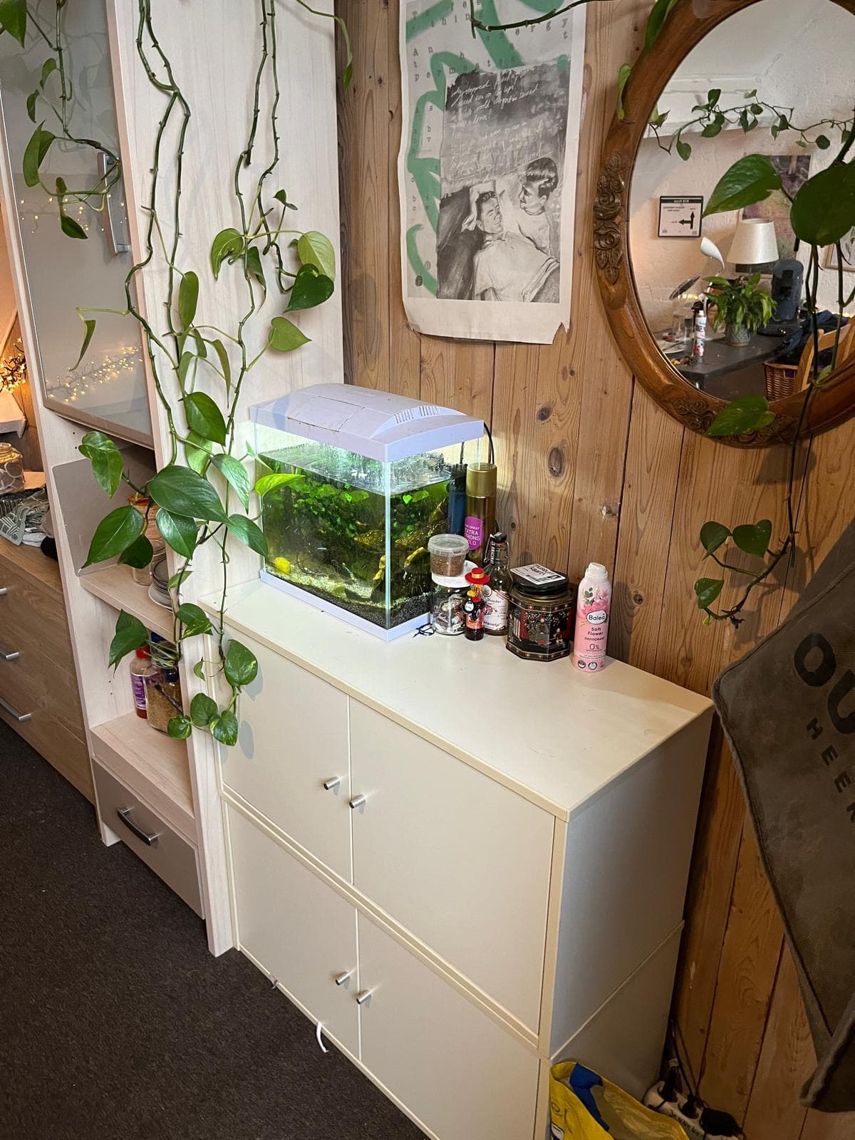 show all photos of Brusselseweg