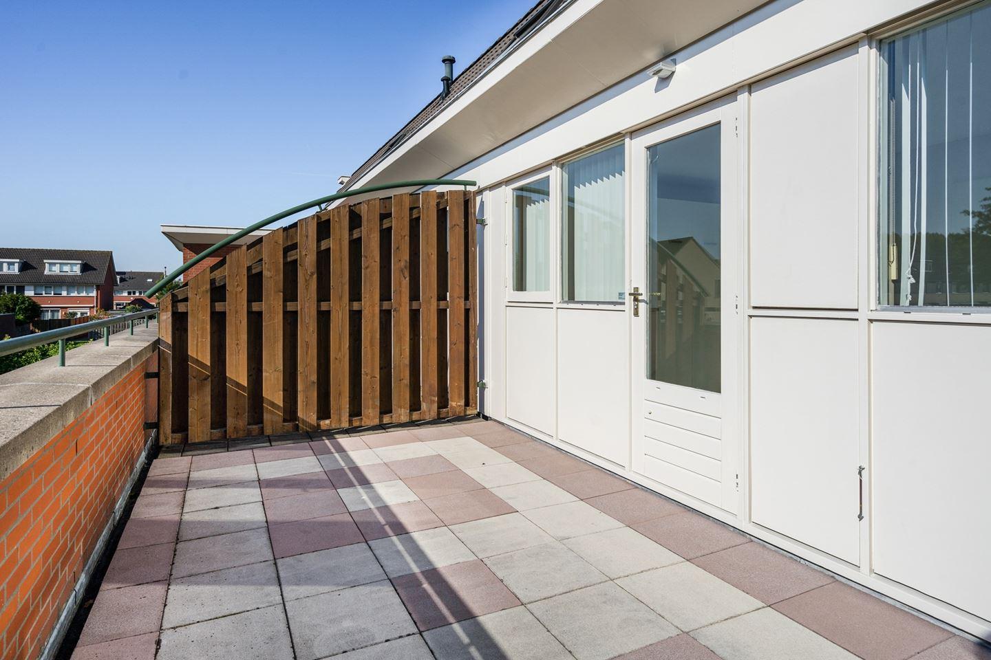 show all photos of Rembrandthage