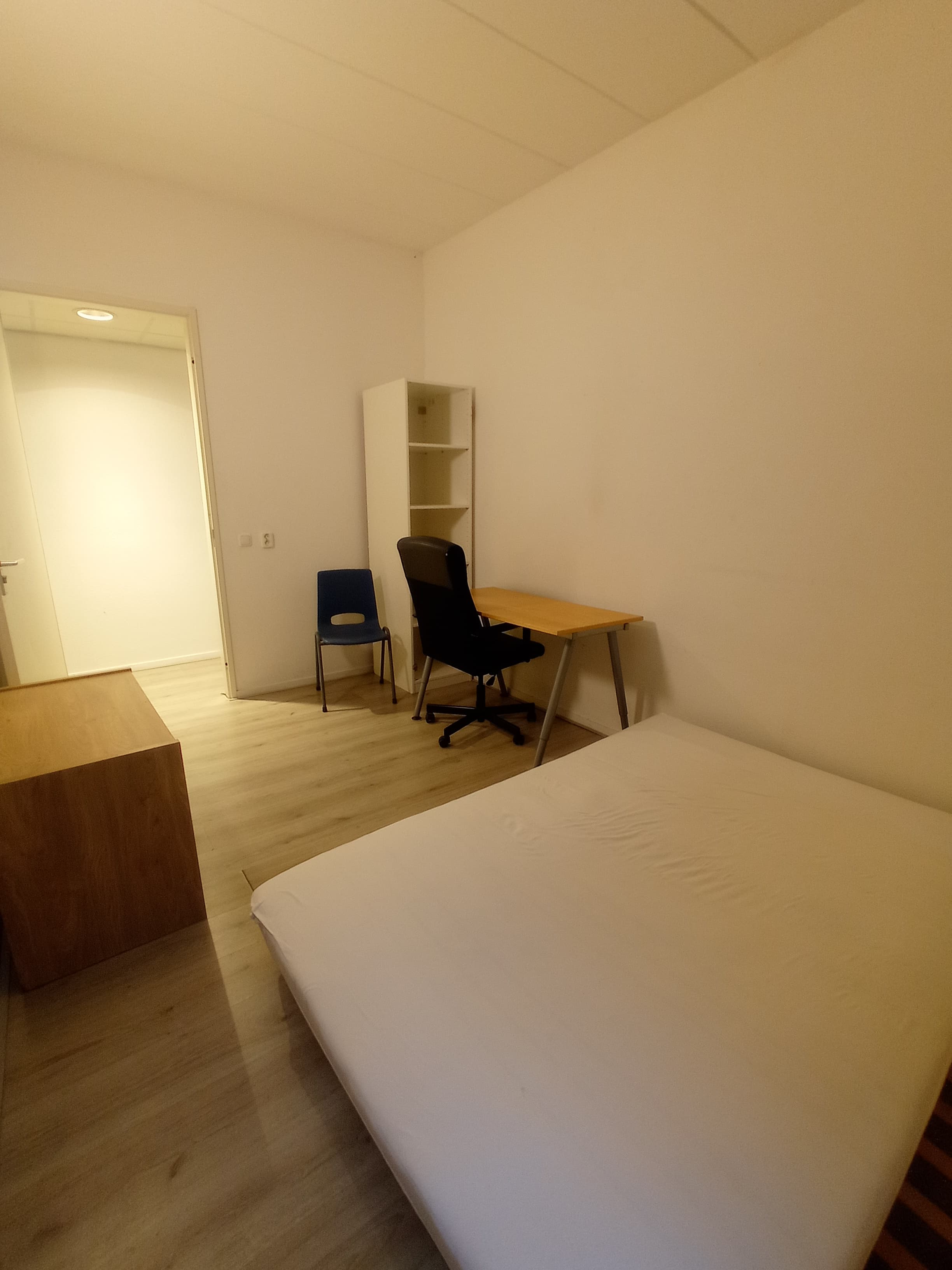 show all photos of Romerselaan