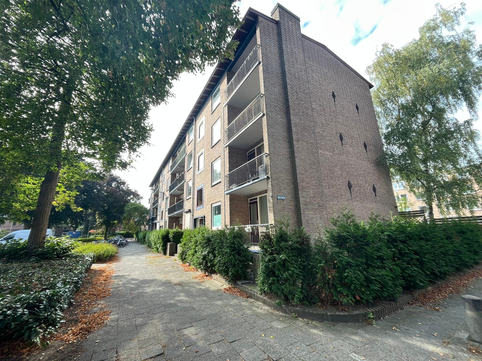 show all photos of Wolfstraat