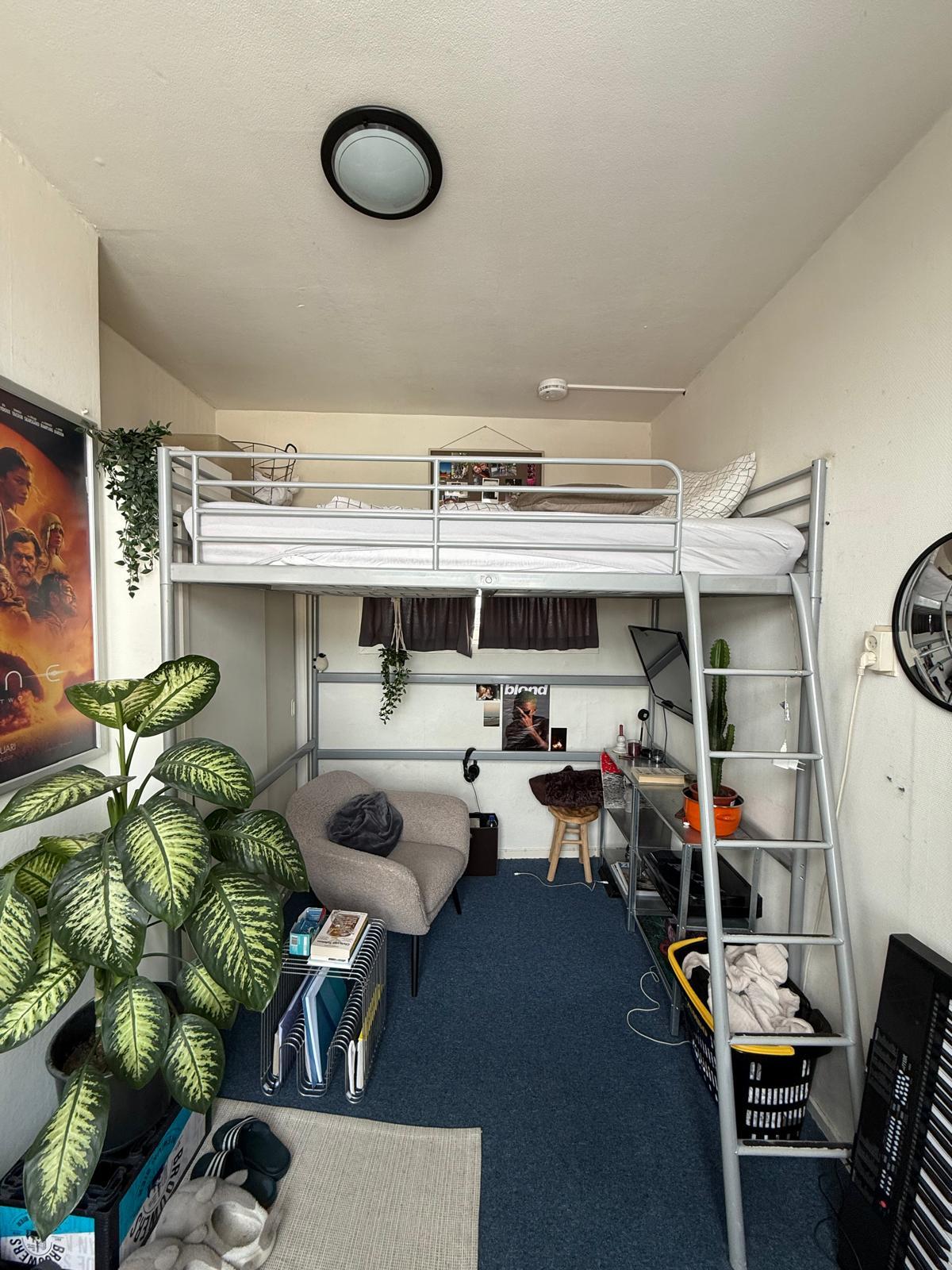 Oude Ebbingestraat, Groningen