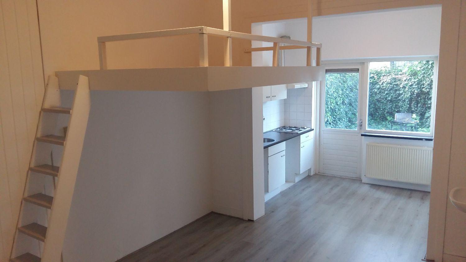 show all photos of Borneoplein