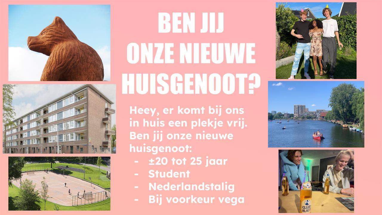 show all photos of Wilhelmina Druckerstraat