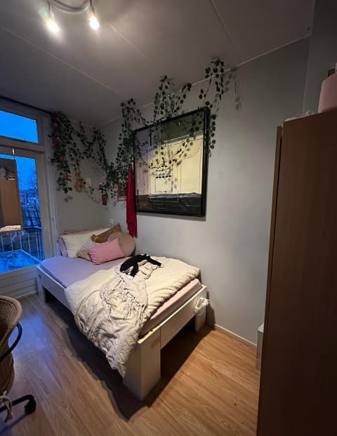 show all photos of Jacob van Akenstraat