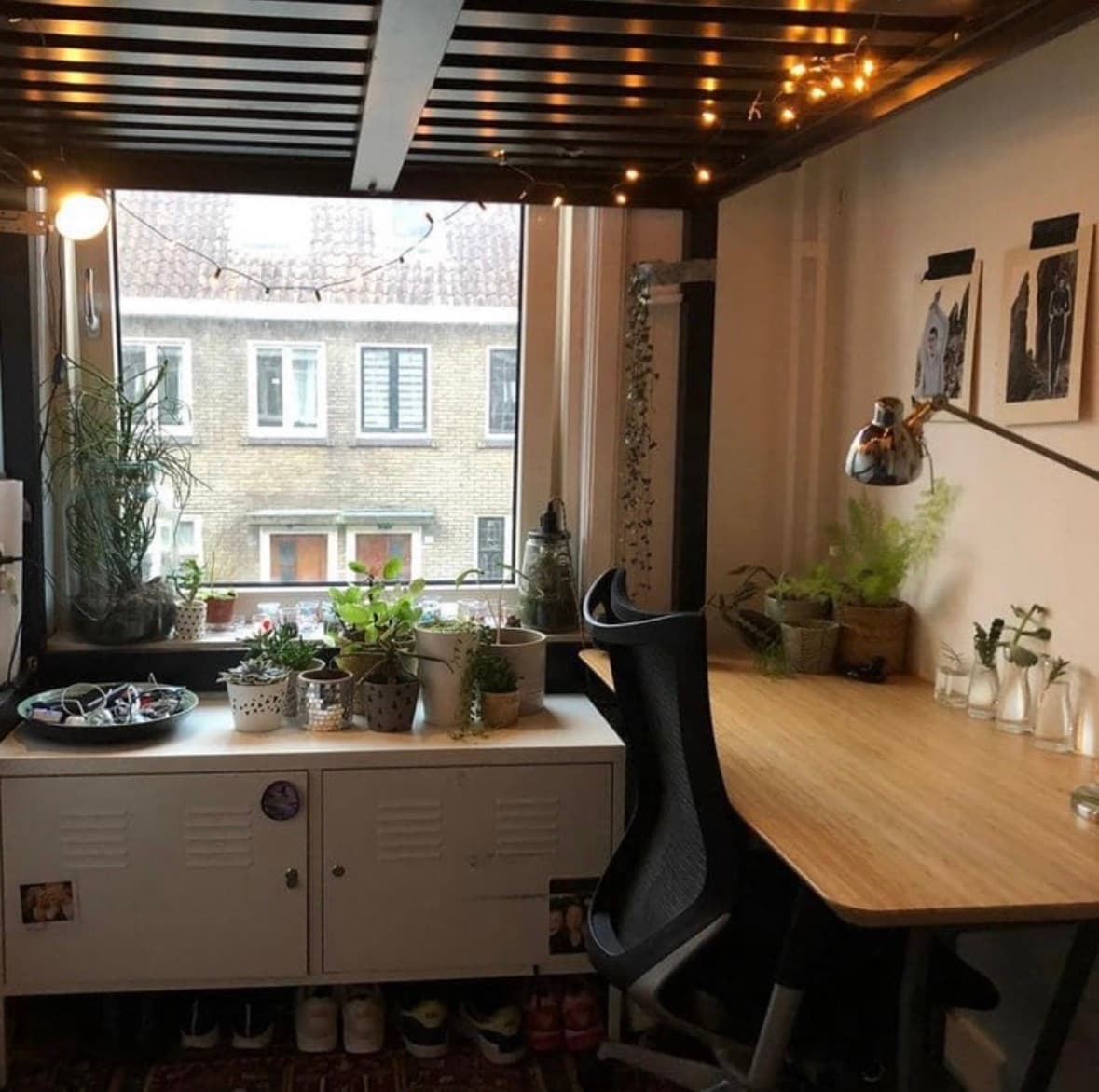 show all photos of Musschenbroekstraat