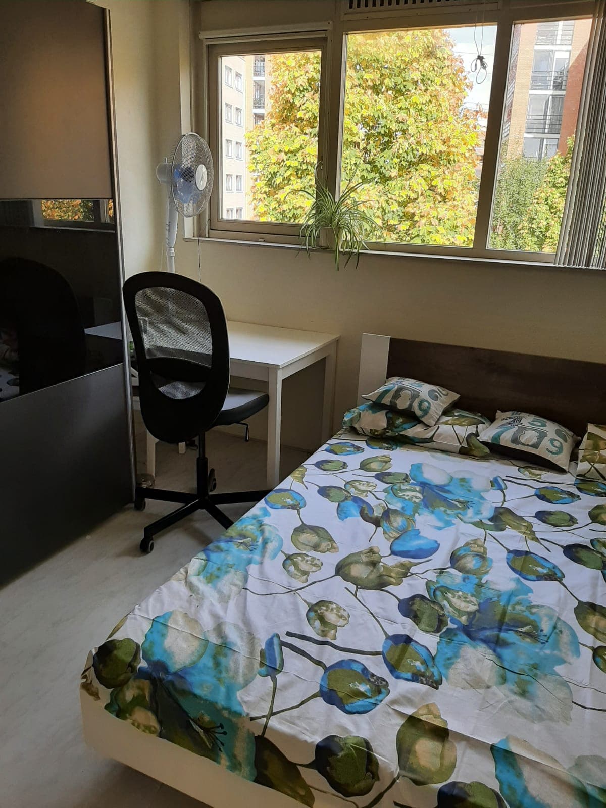 show all photos of Mendes da Costalaan