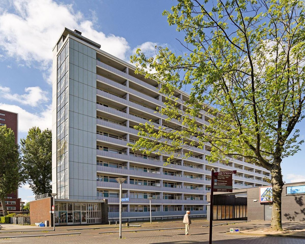 show all photos of Plein 1953