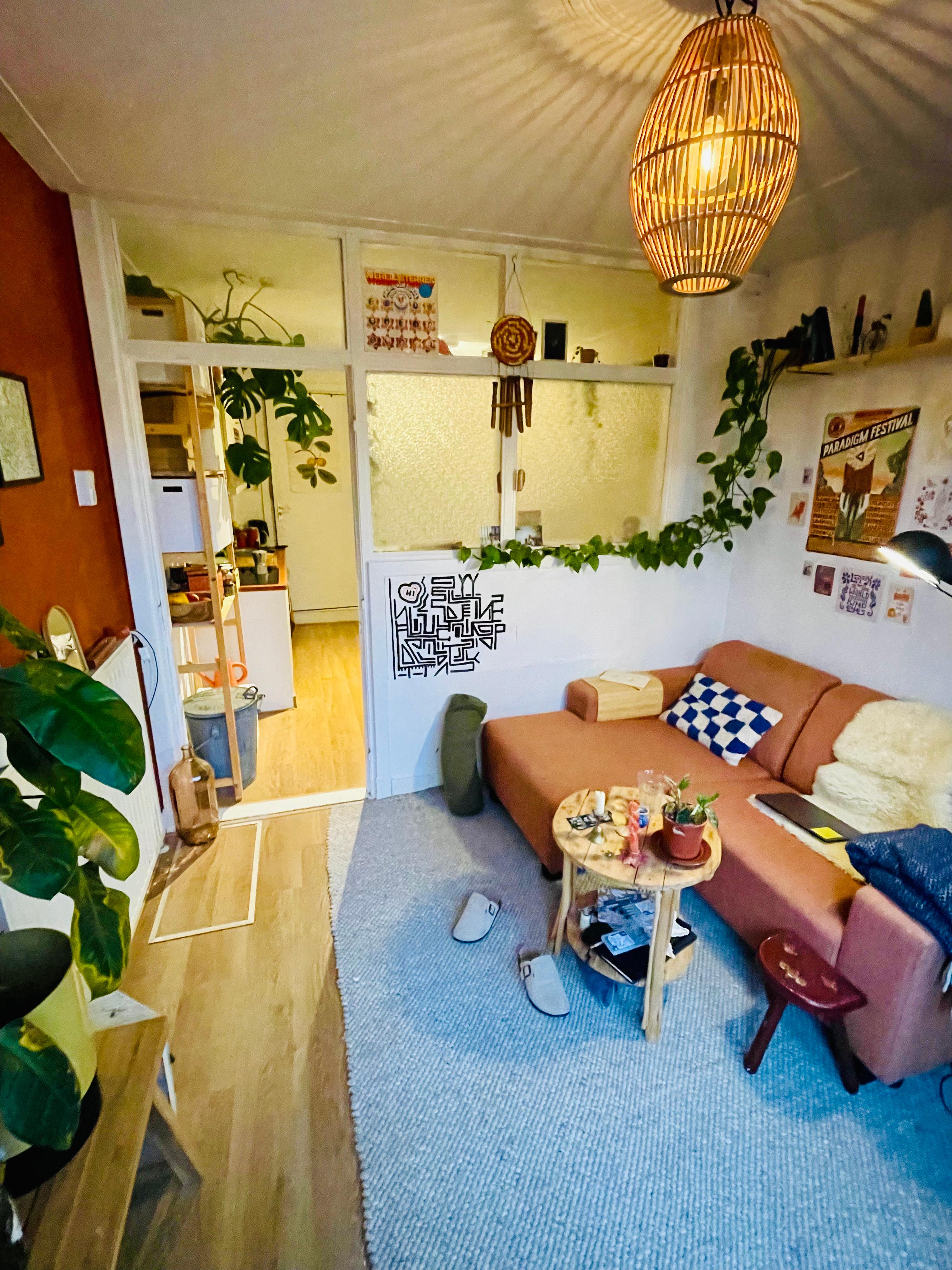 show all photos of Korreweg