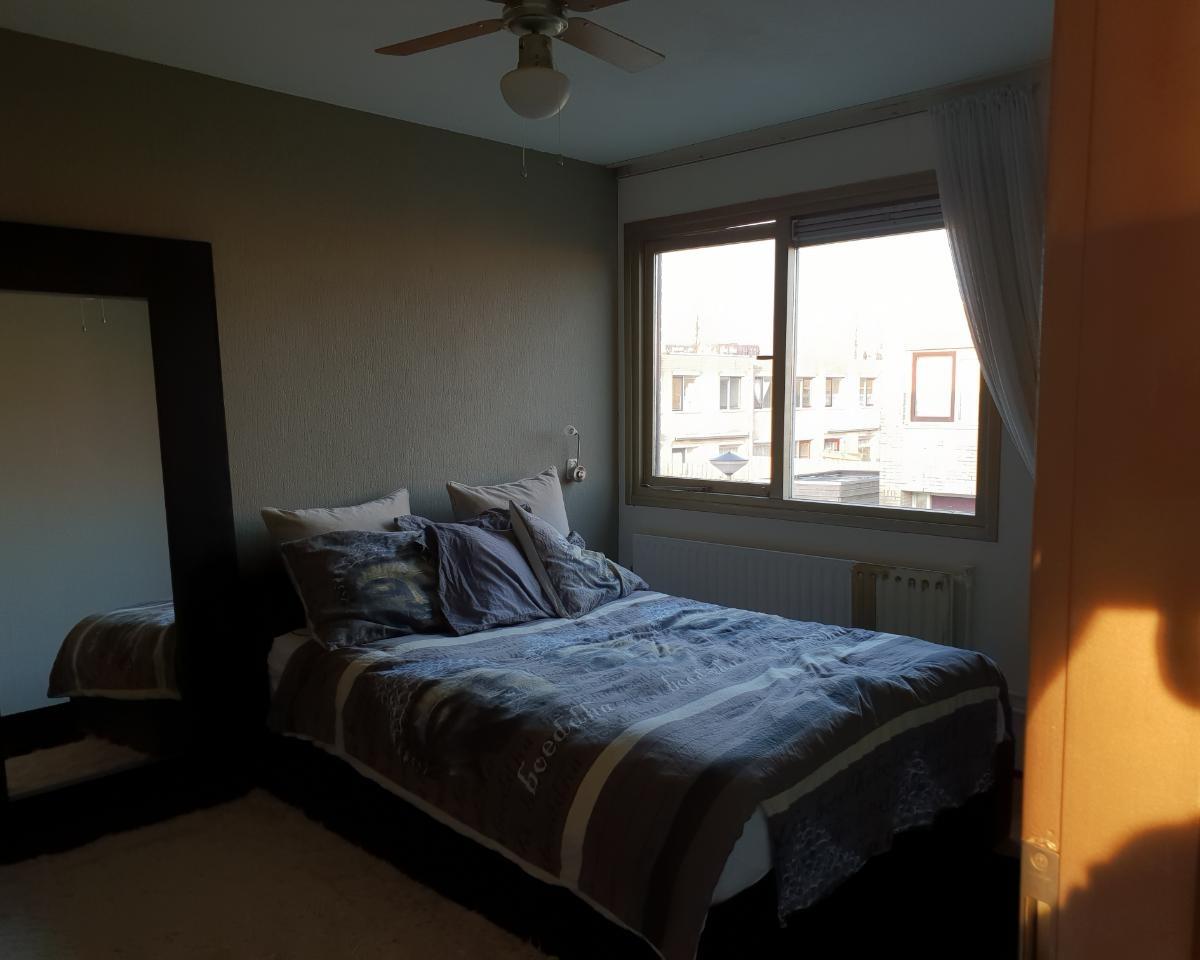 show all photos of Struikroospad