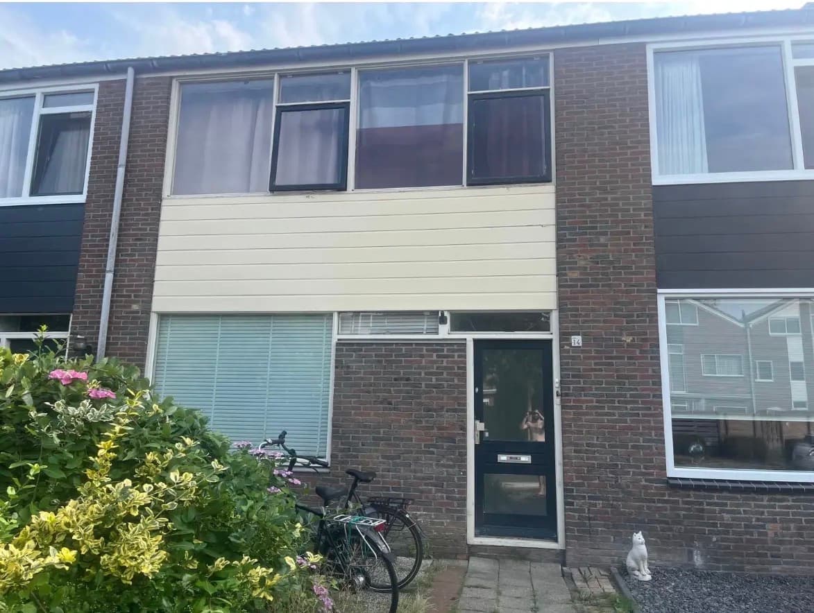 show all photos of Holwortel