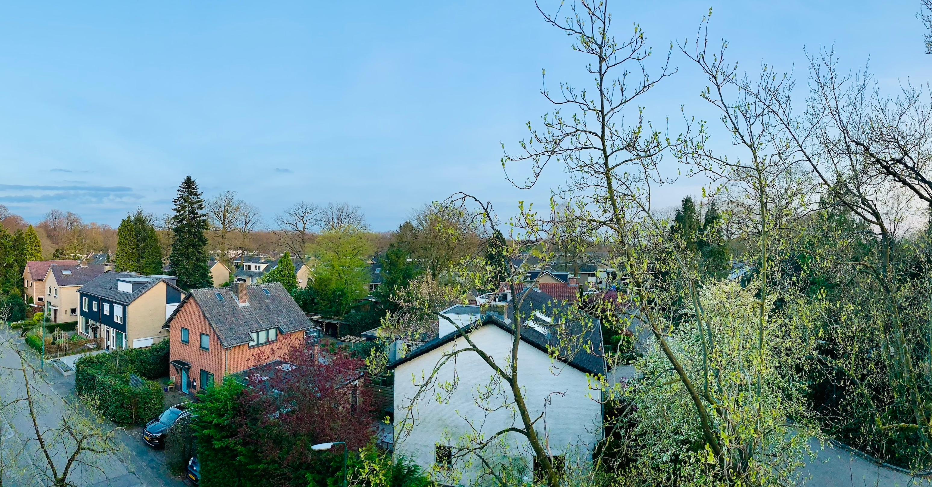 show all photos of van Nagell-laan