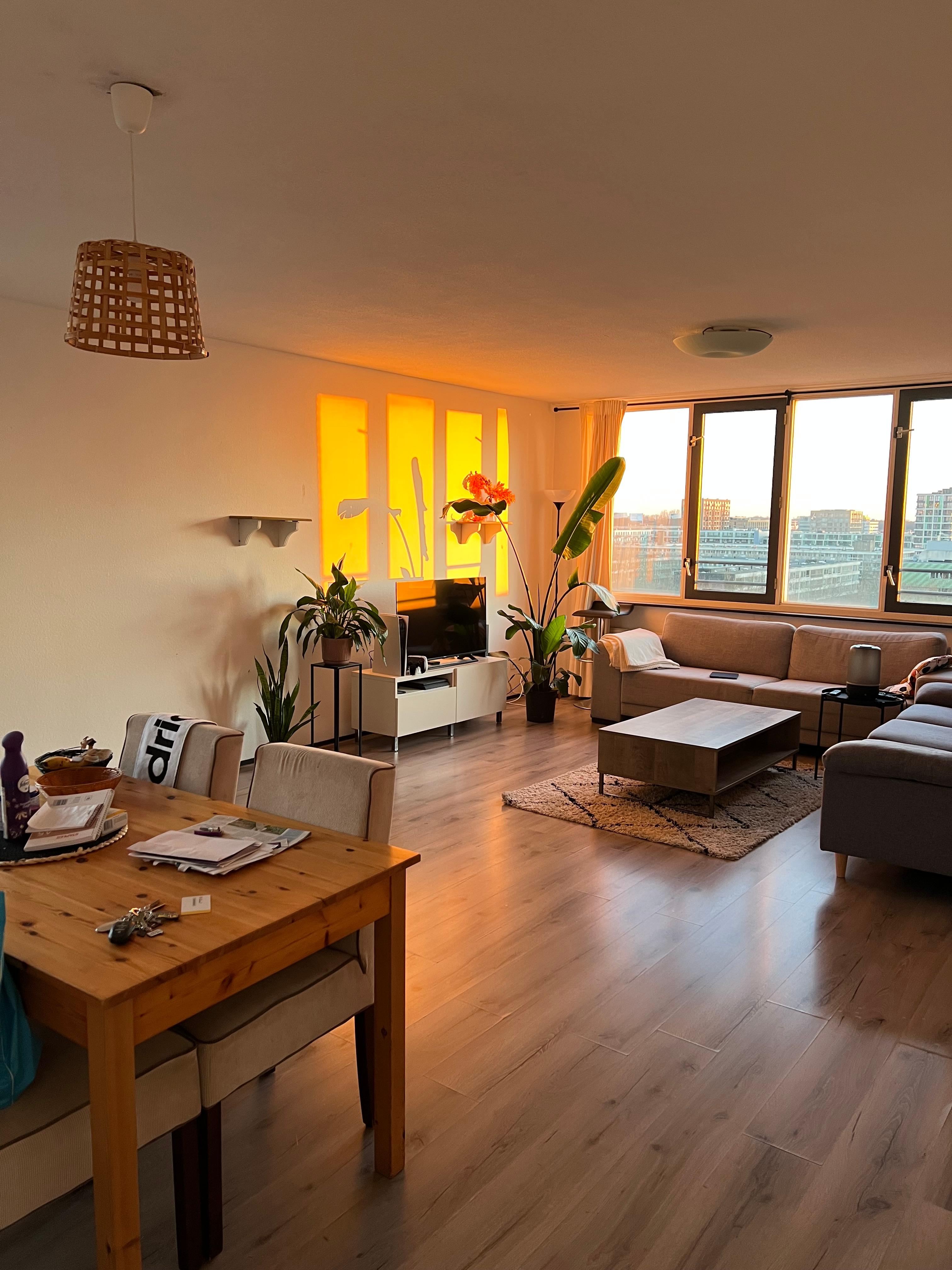 show all photos of Wittgensteinlaan