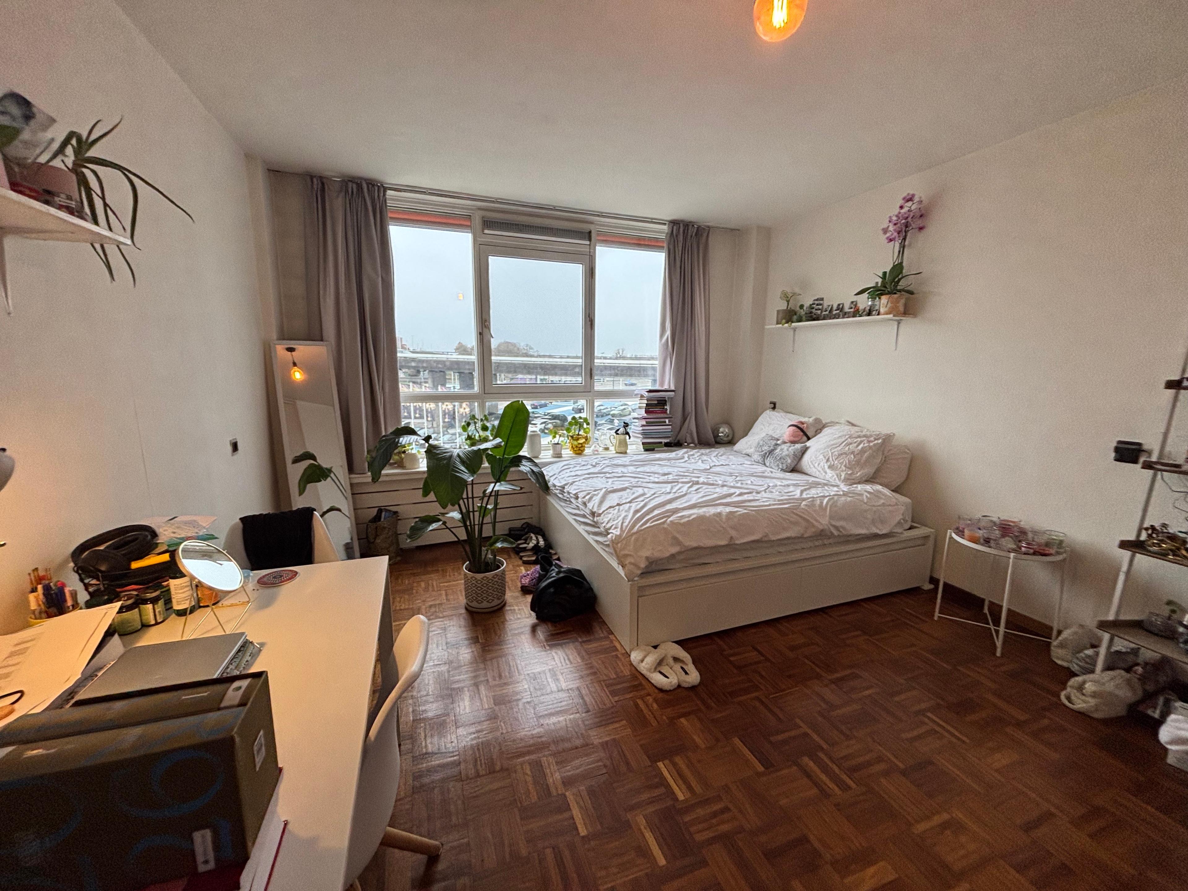 show all photos of Bergstraat