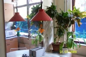 show all photos of Diamantpad