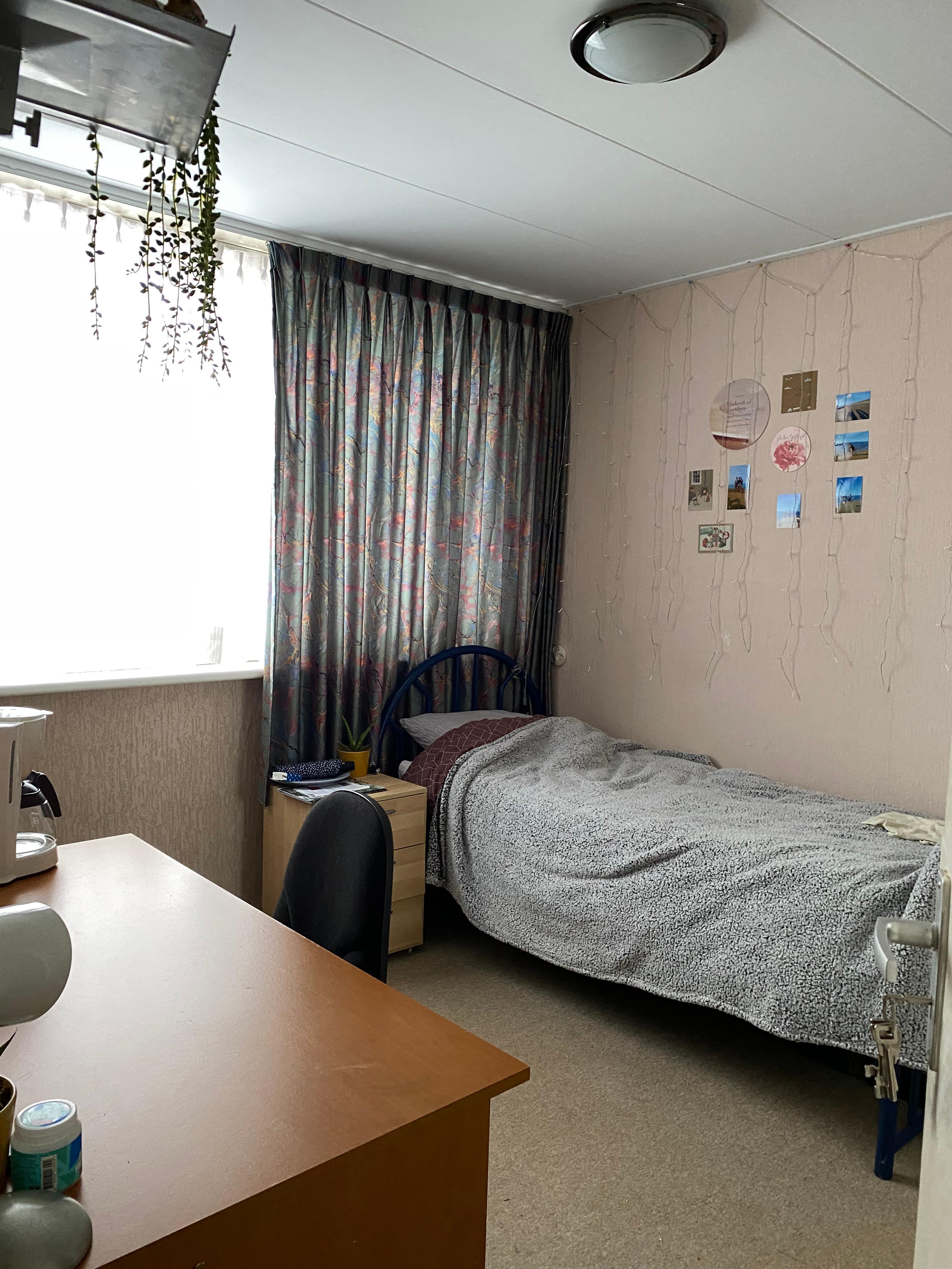 show all photos of Camminghalaan