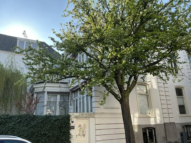 show all photos of Balistraat