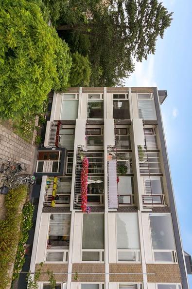 show all photos of Ridderspoorlaan