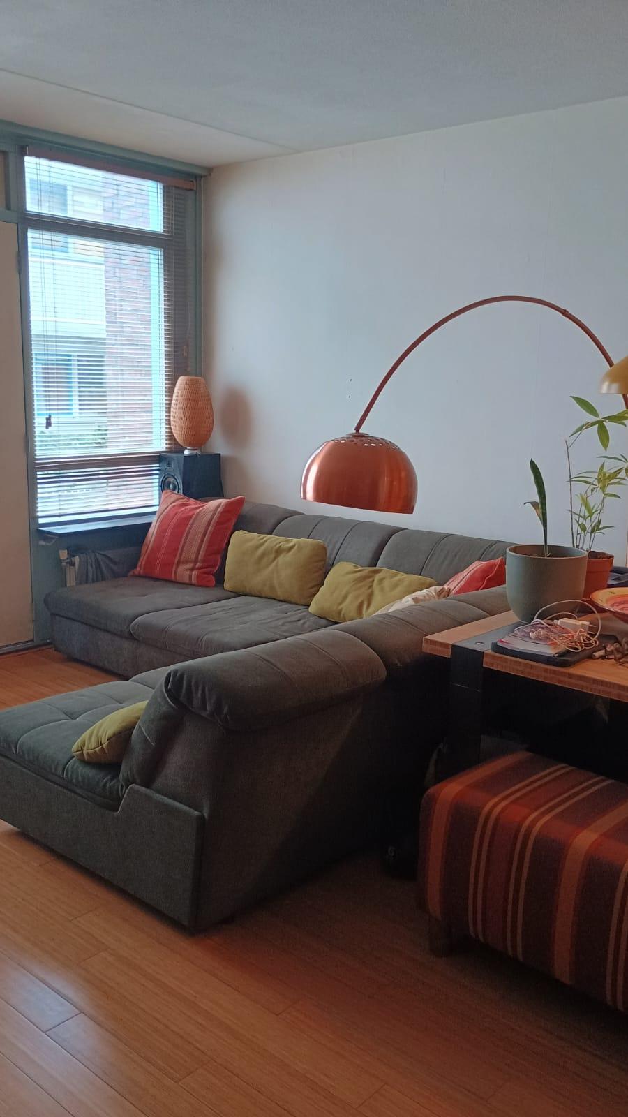 show all photos of Vierwindenstraat