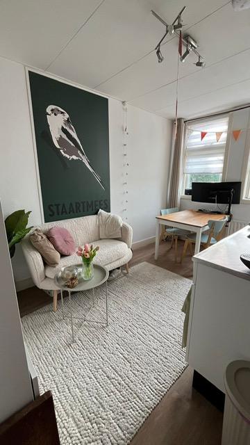 show all photos of Molukkenstraat