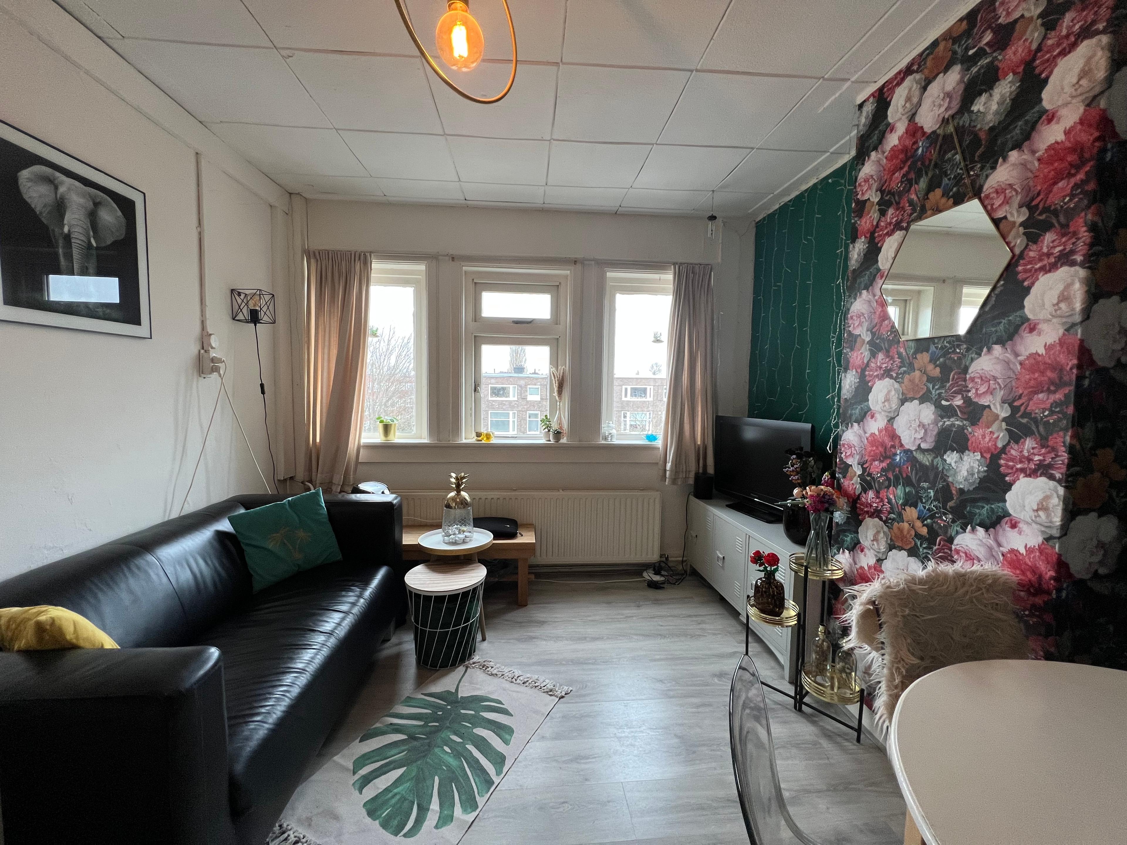 show all photos of Oppenheimstraat