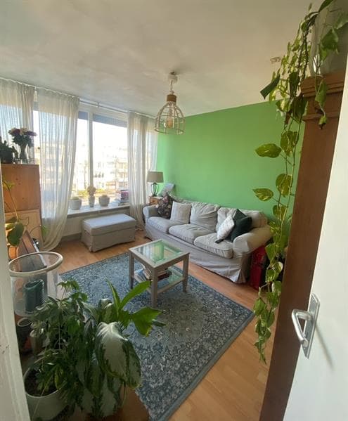 show all photos of Rapenburchdreef