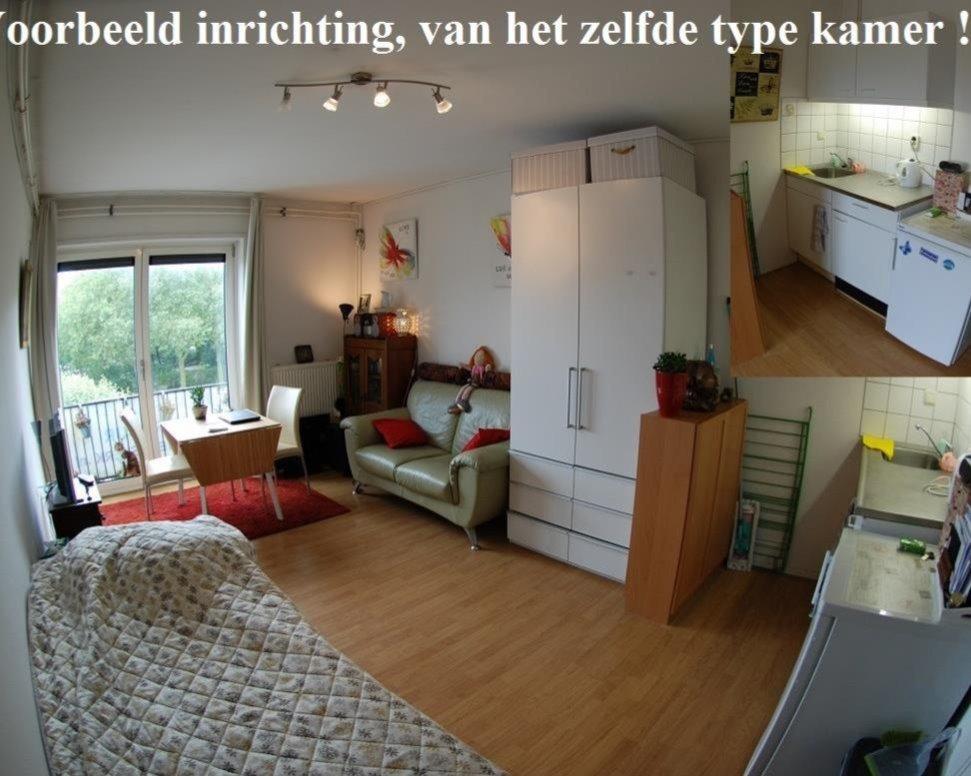 show all photos of Kerklaan