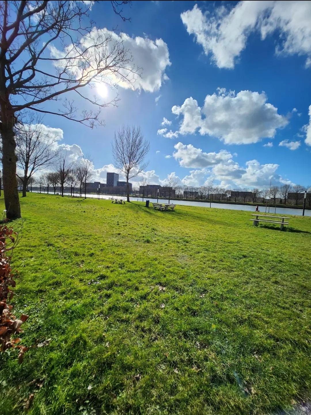 show all photos of Rooseveltlaan