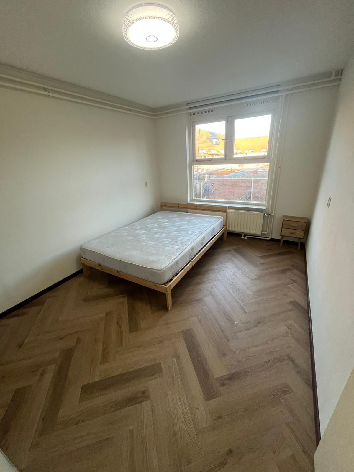 show all photos of Barneveldpad