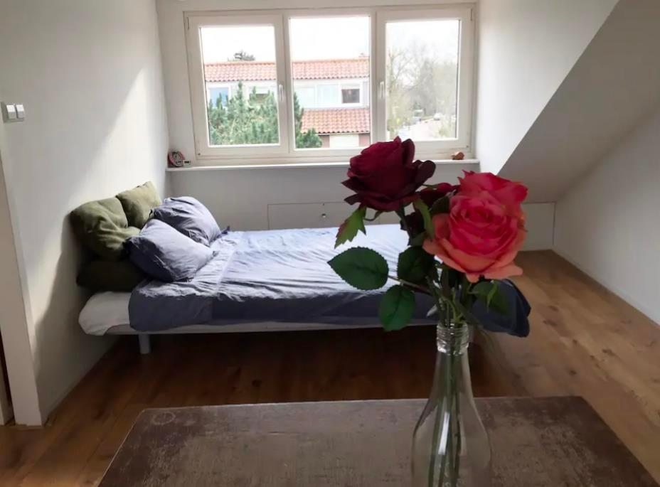 show all photos of van der Helstpark