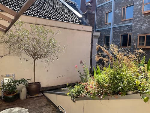 show all photos of Schietbaanstraat