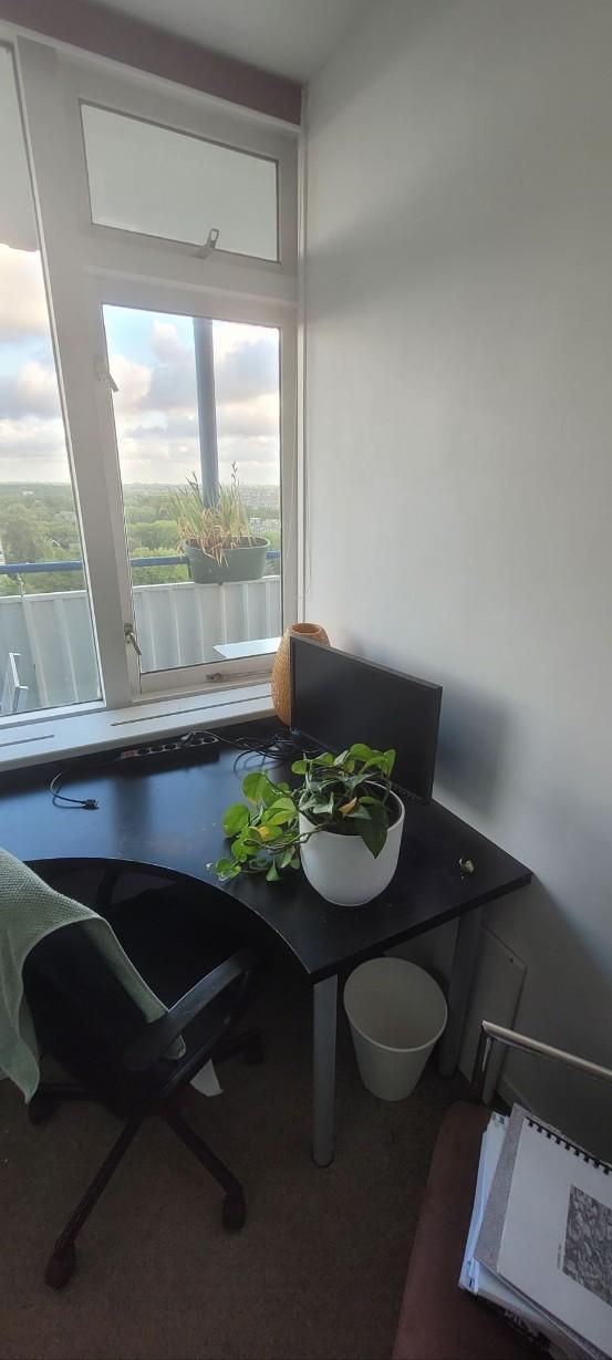 show all photos of Menno ter Braaklaan